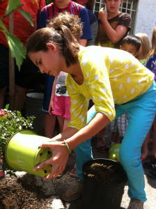 VBS2013